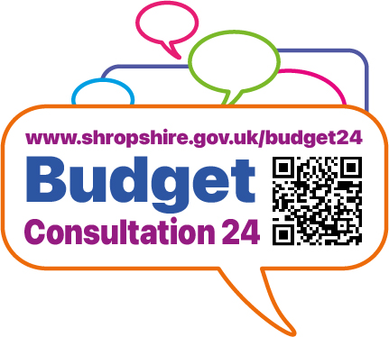 budget graphic 1