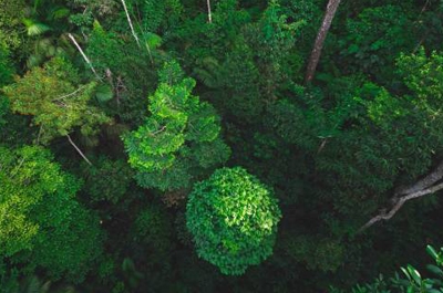 Business Must Be Key Player in Net Zero 