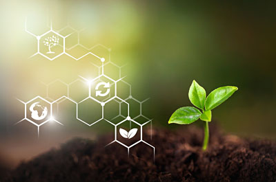 Innovation Champion in Sustainability